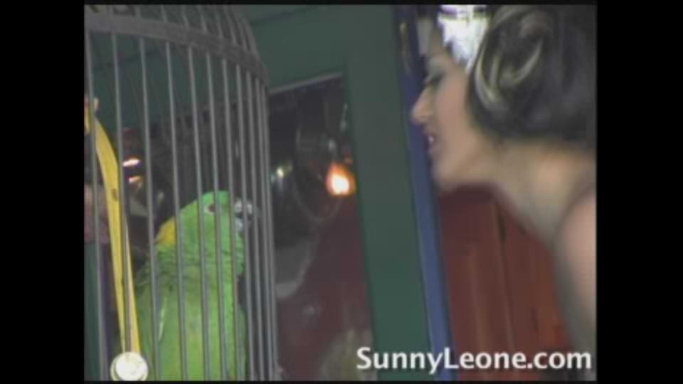 Sunny and the Parrot, Scene #01