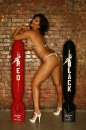 Red And Black Missiles picture 13
